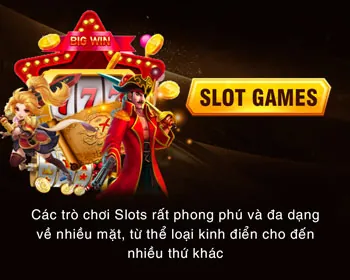 Hoàn trả cược hàng ngày